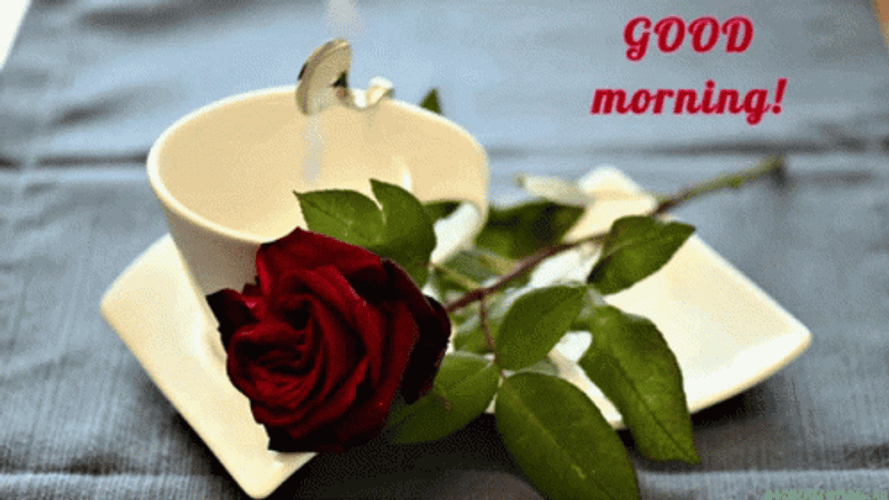 Good Morning Cup And Rose GIF