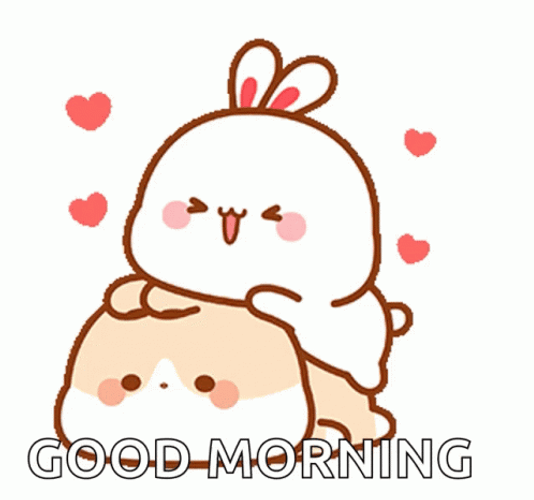 Good Morning Cute Bunny Cuddling GIF | GIFDB.com