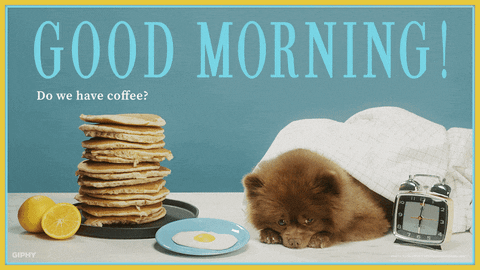 Good Morning Cute Dog Asking For Coffee GIF