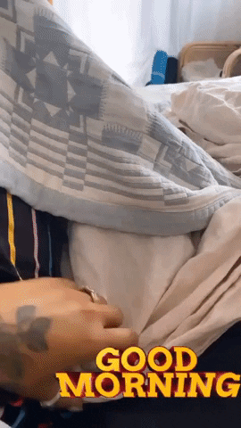 Good Morning Cute Dog GIF