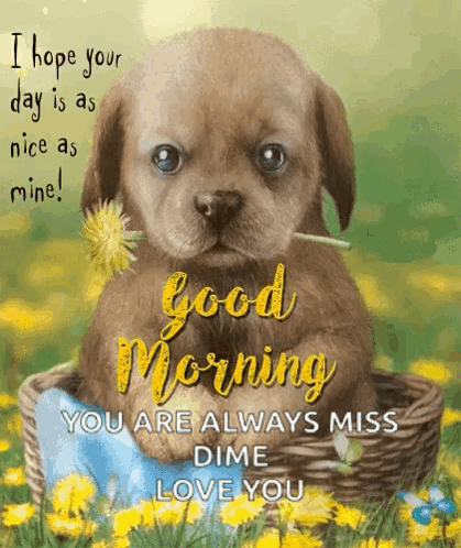 Good Morning Cute Dogs GIF
