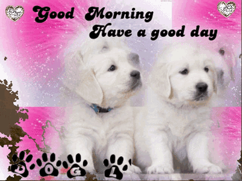 Good Morning Cute Sunday Dogs GIF