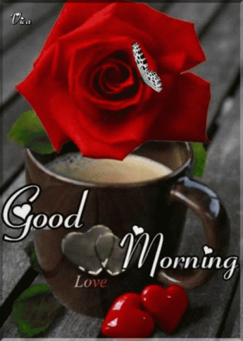 Good Morning Darling Butterfly Red Rose GIF
