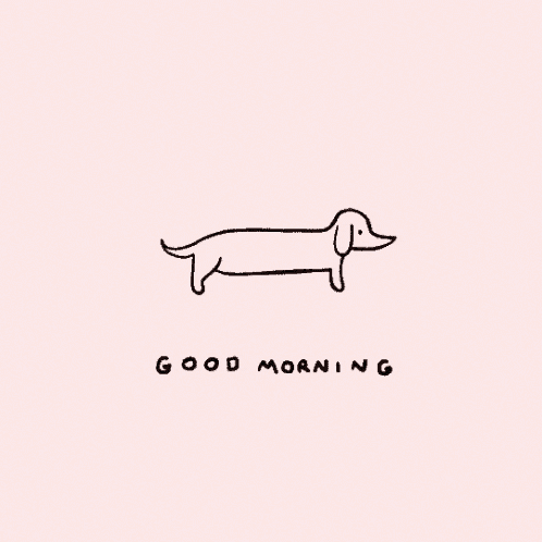 Good Morning Darling Weiner Dog Stretching GIF