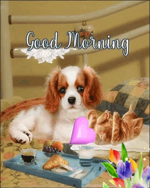 Good Morning Dog And Cat GIF