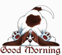 Good Morning Dog Being Cute GIF