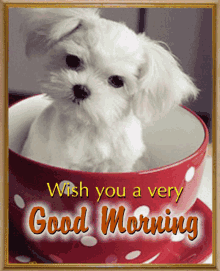 Good Morning Dog In Cup Greeting GIF