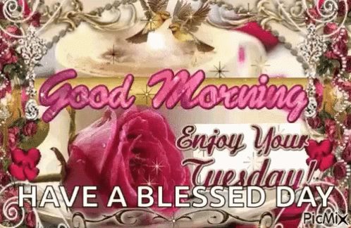 Good Morning Enjoy Your Tuesday