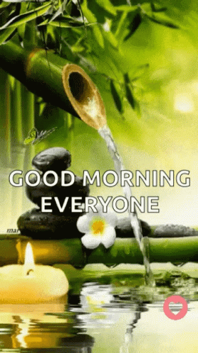 Good Morning Everyone Zen GIF