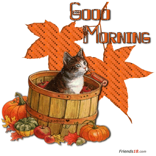 Good Morning Fall Animated Cat In Barrel Art GIF