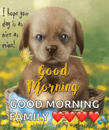 Good Morning Family Puppies Love GIF
