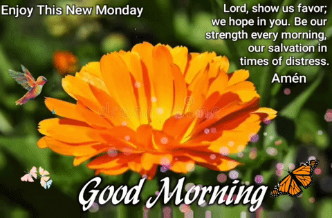 Good Morning Flower And Butterfly GIF