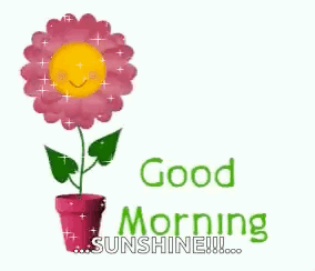 Good Morning Flower Pot Always Sunny GIF