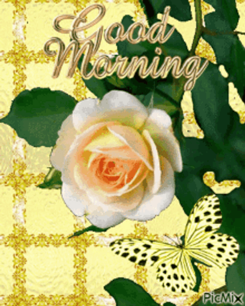 Good Morning Flower With Checkered Background And Butterfly GIF 