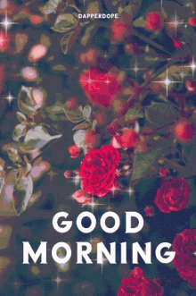 Good Morning Flowers Sparkling Rose Bush GIF