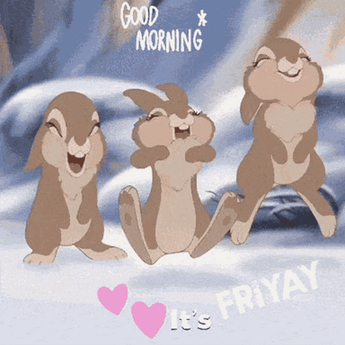 Good Morning Friday It's Friyay Bunnies GIF