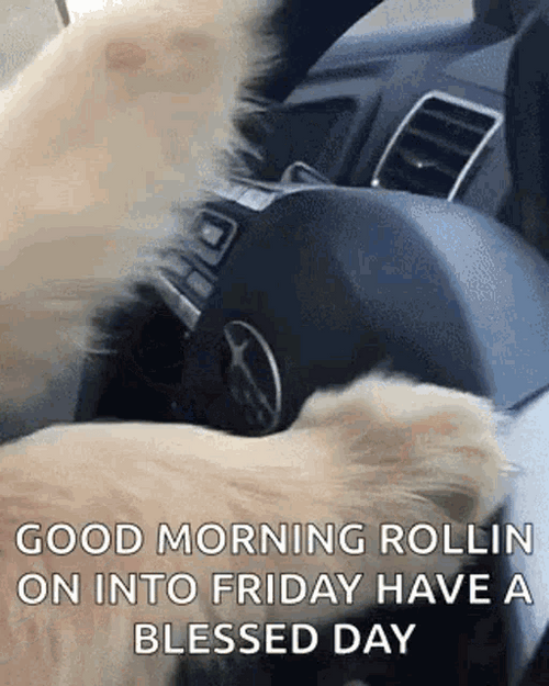 Good Morning Friday Rollin Dog Car GIF