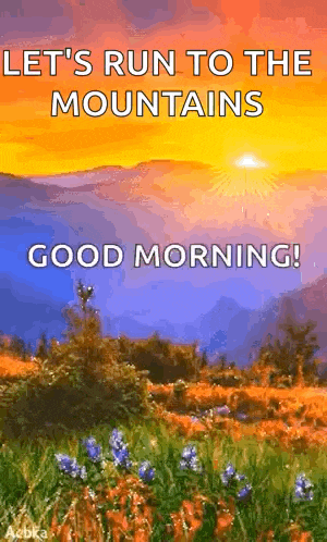 Good Morning Gif GIF