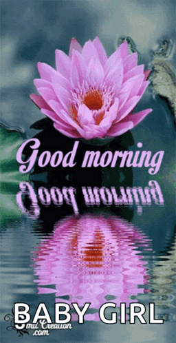 Good Morning God Bless You