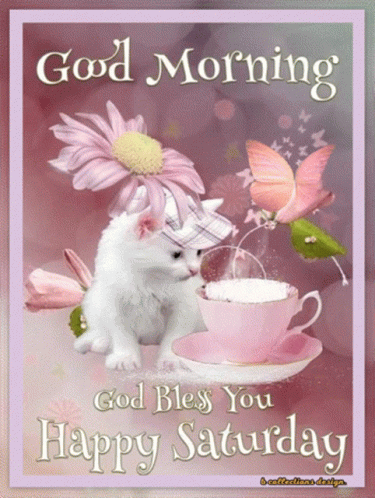 Good Morning God Bless You Saturday With Kitten