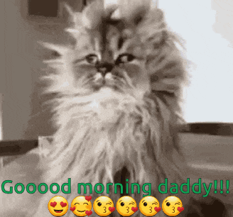 Good Morning Good Morning Daddy Gif GIF