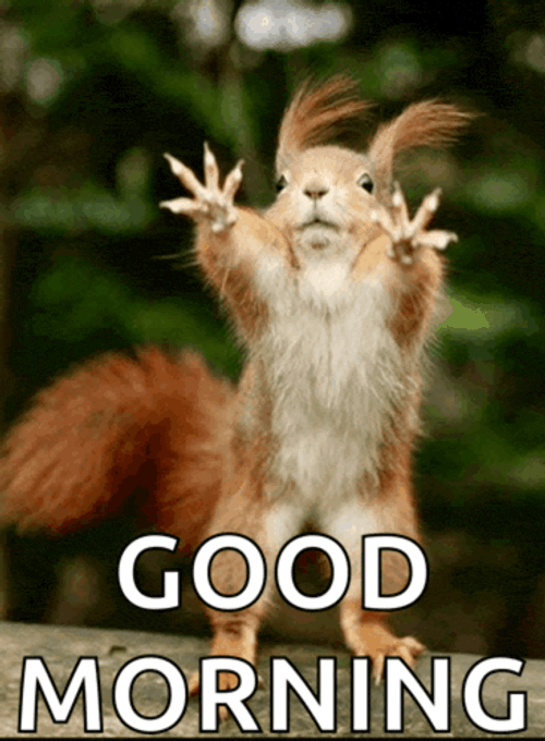 Funny Exhausted Good Morning GIF GIFDB