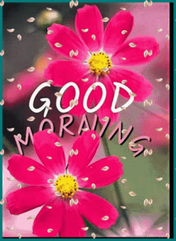 Good Morning Greeting Card with Pink Flowers