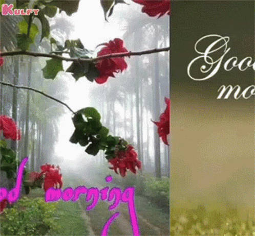 Good Morning Greeting Card With Red Flowers in Forest