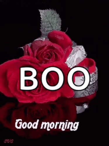 Good Morning Greeting Card With Rose In Water GIF
