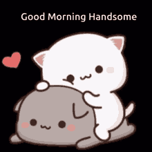 Good Morning Handsome Peach & Goma GIF