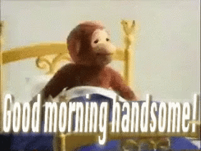 Good Morning Handsome With Funny Monkey GIF 