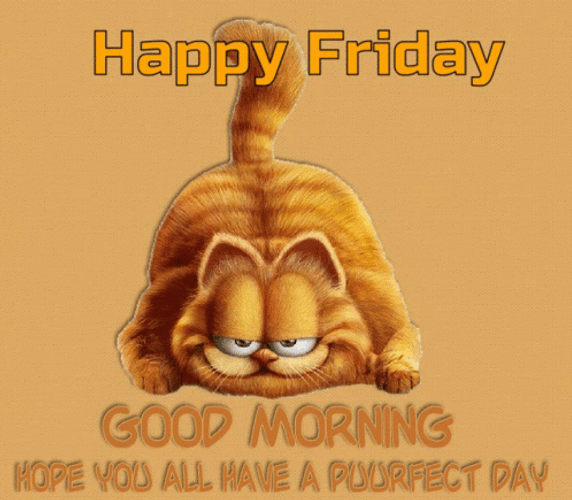 Good Morning Happy Friday Garfield GIF