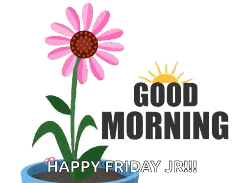 Good Morning Happy Friday Jr GIF