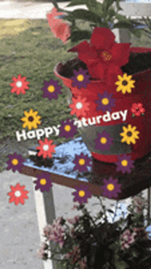 Good Morning Happy Saturday Colorful Flowers GIF
