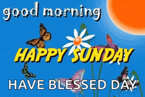 Good Morning Happy Sunday Card With Butterflies Flower