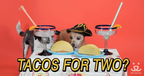Good Morning Happy Taco Tuesday Cute Puppies GIF