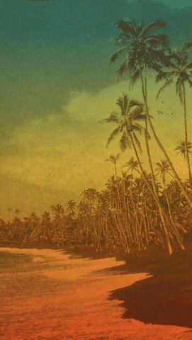 Good Morning Happy Taco Tuesday Floating Mid Air GIF