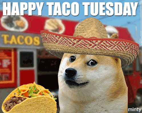 Good Morning Happy Taco Tuesday Happy Dog GIF