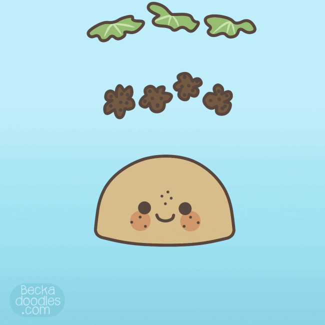 Good Morning Happy Taco Tuesday Ingredients Stack Up GIF