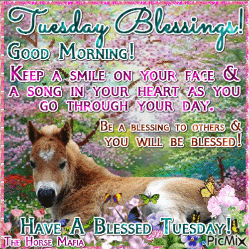 Good Morning Happy Tuesday Animals Nature Greetings GIF 