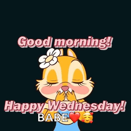 Good Morning Happy Wednesday Babe GIF