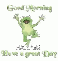 Good Morning Harper Frog Dancing GIF