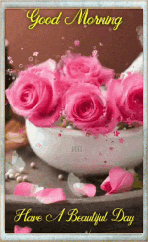 Good Morning Have A Beautiful Day Pink Roses GIF