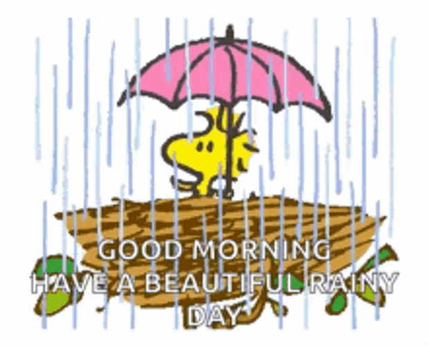 Good Morning Have A Beautiful Rainy Day GIF