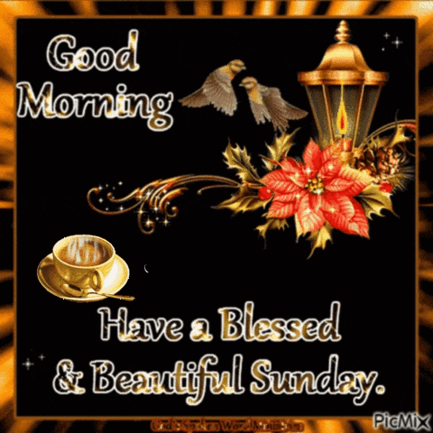 Good Morning Have A Blessed And Beautiful Sunday GIF