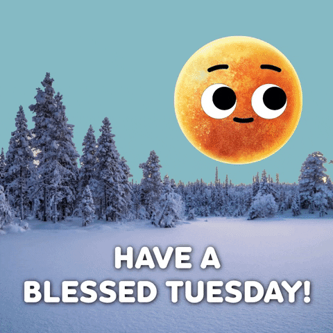 Good Morning Have A Blessed Day Winter Tuesday GIF