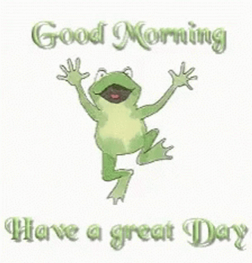 Good Morning Have A Great Day GIF