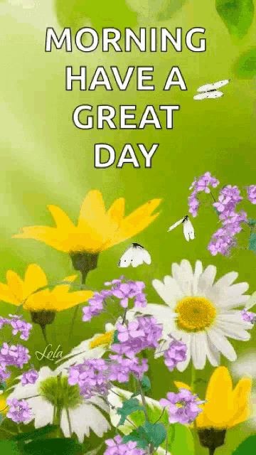 Good Morning Have A Great Day Daisy Flowers GIF