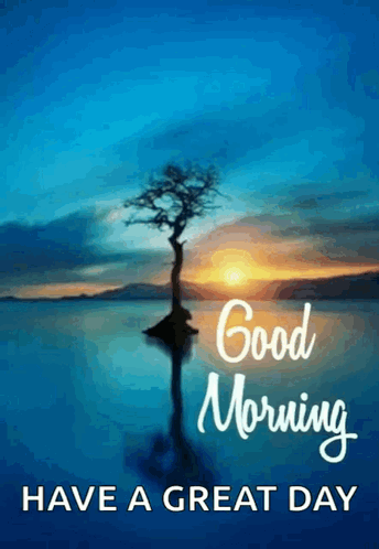 Good Morning Have A Great Day GIF