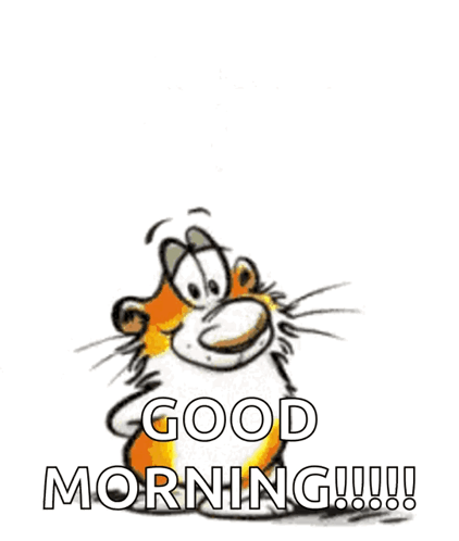 Good Morning Have A Great Day GIF